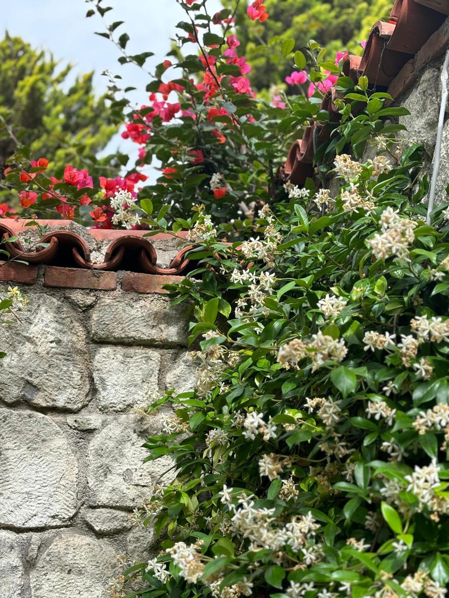 Tasdelen Hotel Alaçatı Luaran gambar